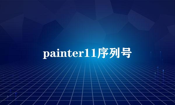 painter11序列号