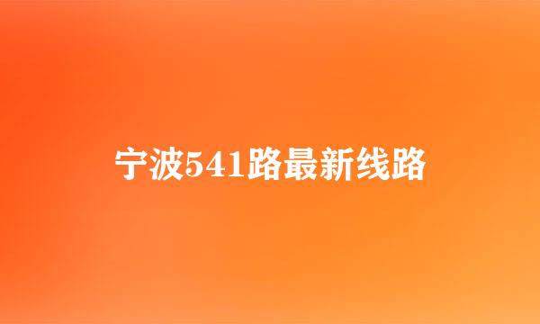 宁波541路最新线路