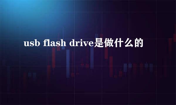 usb flash drive是做什么的