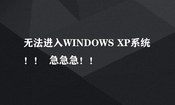 无法进入WINDOWS XP系统！！  急急急！！