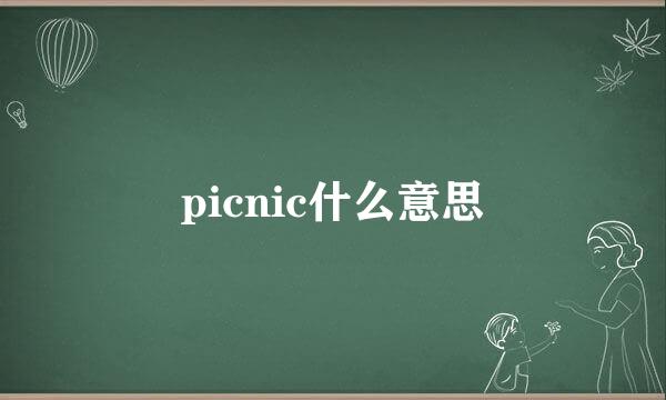 picnic什么意思