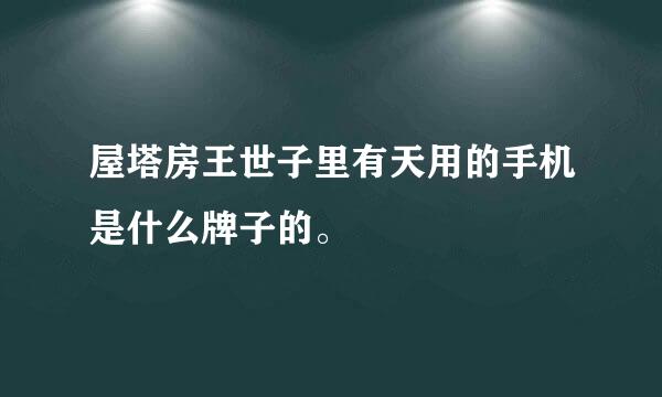 屋塔房王世子里有天用的手机是什么牌子的。