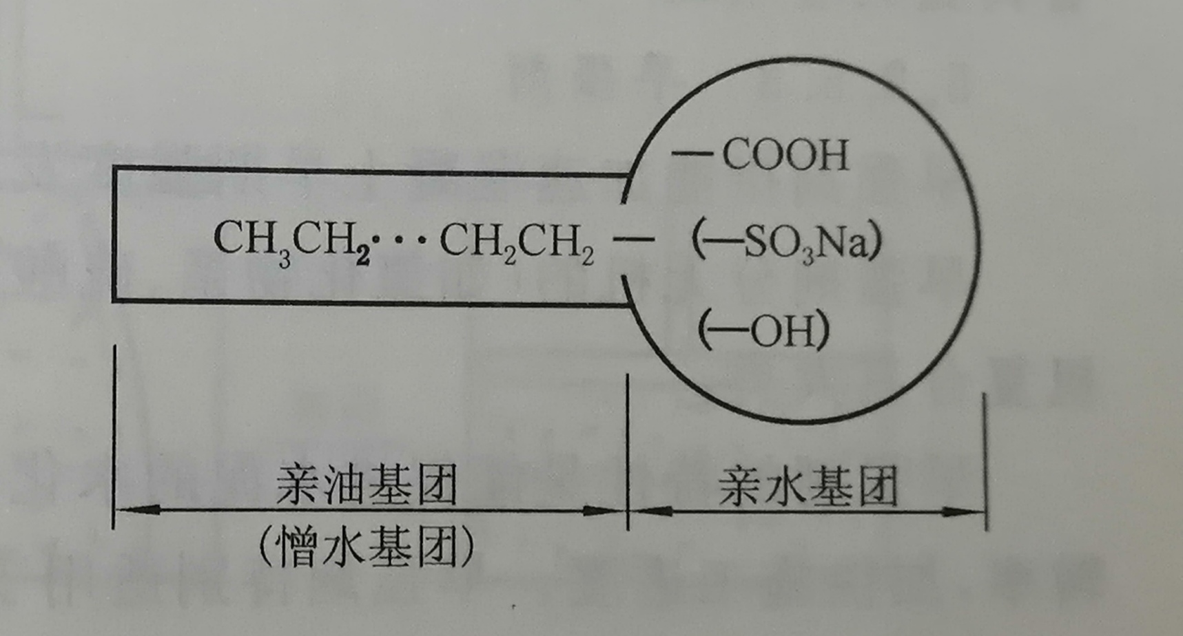 减水剂指的是什么？