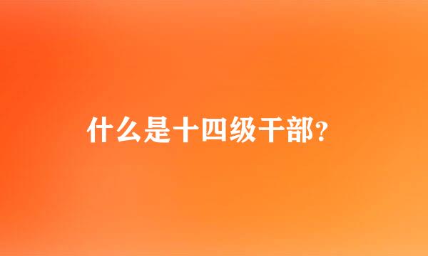 什么是十四级干部？