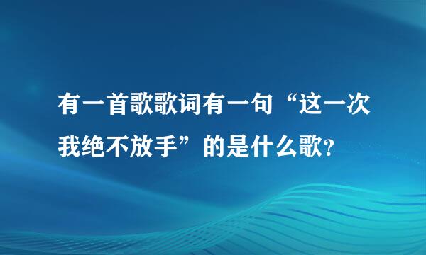 有一首歌歌词有一句“这一次我绝不放手”的是什么歌？