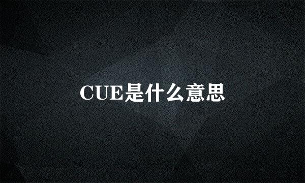 CUE是什么意思