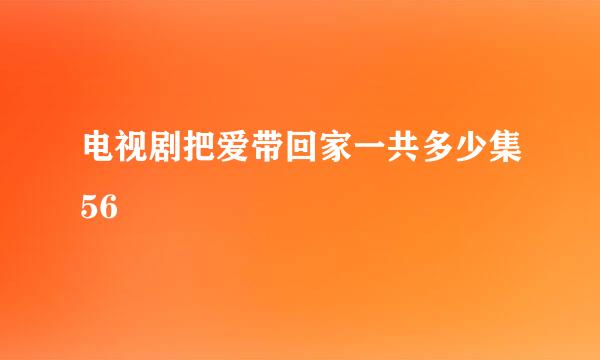 电视剧把爱带回家一共多少集56