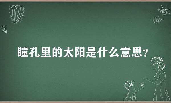 瞳孔里的太阳是什么意思？