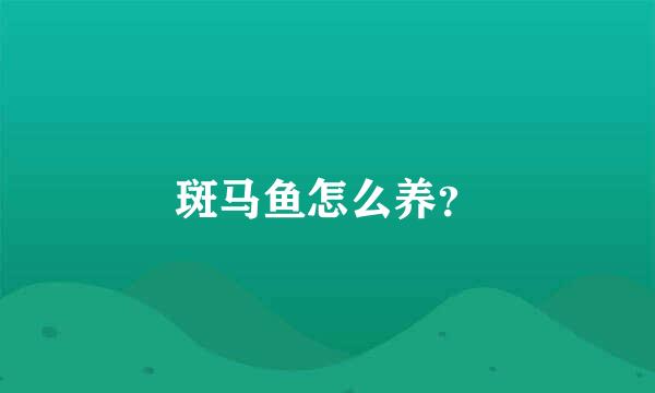 斑马鱼怎么养？