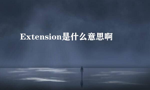 Extension是什么意思啊