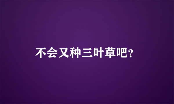 不会又种三叶草吧？