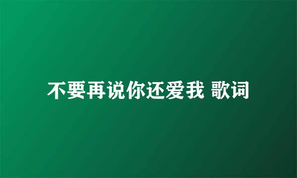 不要再说你还爱我 歌词