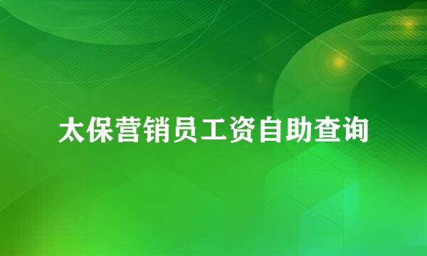 太保营销员工资自助查询