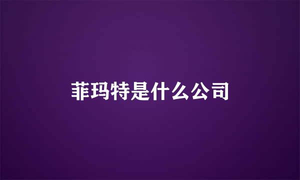 菲玛特是什么公司