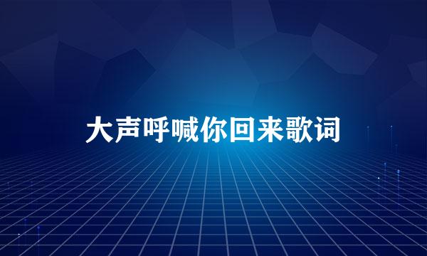 大声呼喊你回来歌词