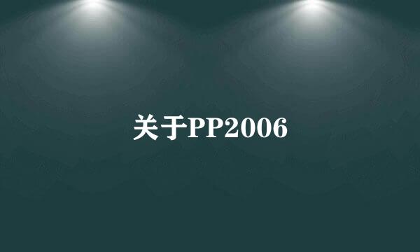 关于PP2006