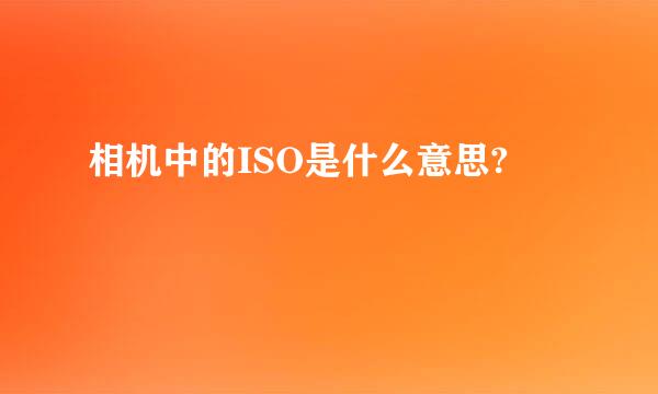 相机中的ISO是什么意思?