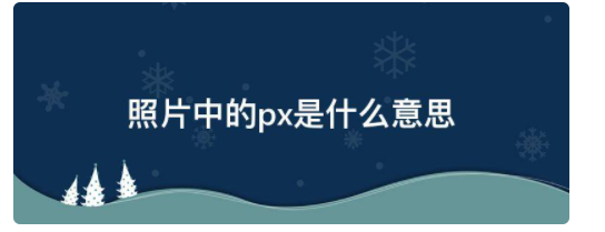 照片中的px是什么意思