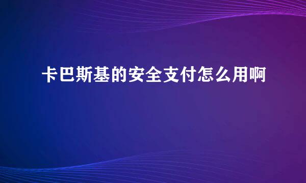 卡巴斯基的安全支付怎么用啊