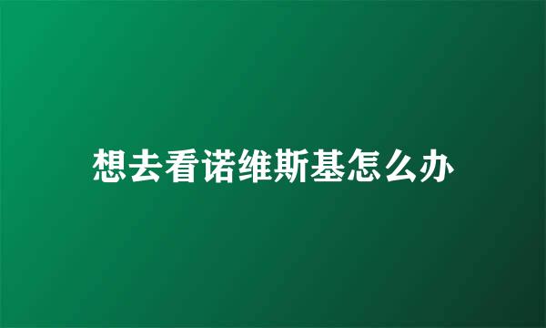 想去看诺维斯基怎么办