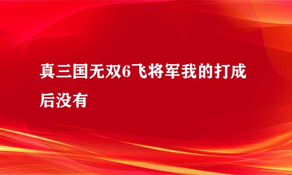 真三国无双6飞将军我的打成后没有