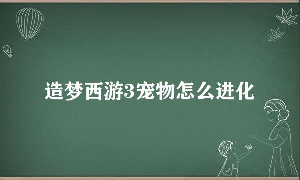 造梦西游3宠物怎么进化