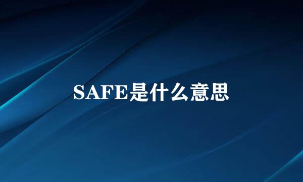 SAFE是什么意思