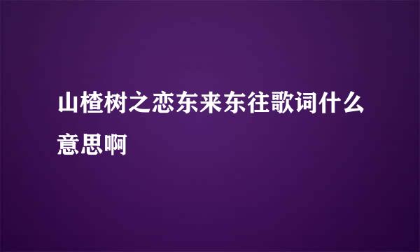 山楂树之恋东来东往歌词什么意思啊