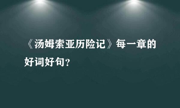 《汤姆索亚历险记》每一章的好词好句？