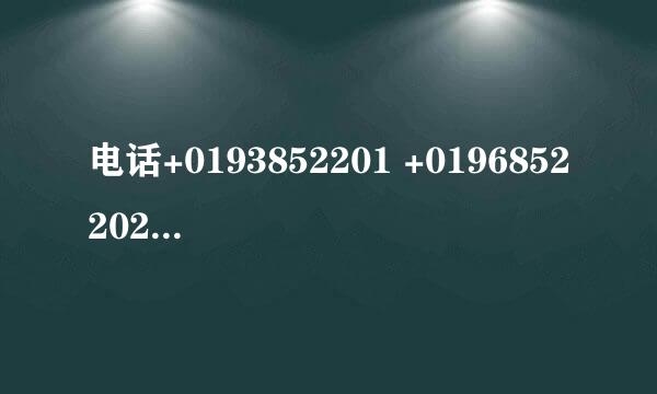 电话+0193852201 +0196852202到底是什么电话？