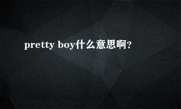 pretty boy什么意思啊？