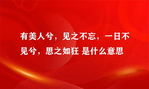 有美人兮，见之不忘，一日不见兮，思之如狂 是什么意思