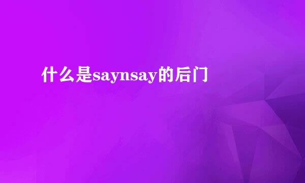 什么是saynsay的后门