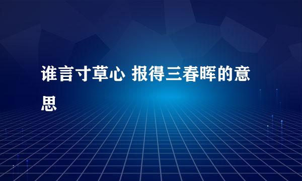 谁言寸草心 报得三春晖的意思