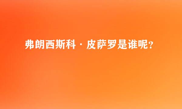 弗朗西斯科·皮萨罗是谁呢？