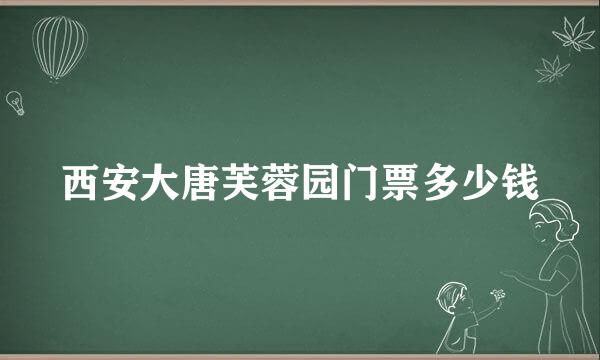 西安大唐芙蓉园门票多少钱