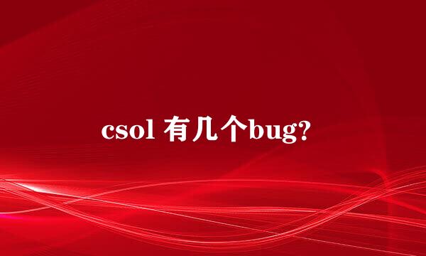 csol 有几个bug？