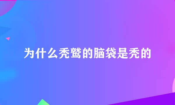 为什么秃鹫的脑袋是秃的