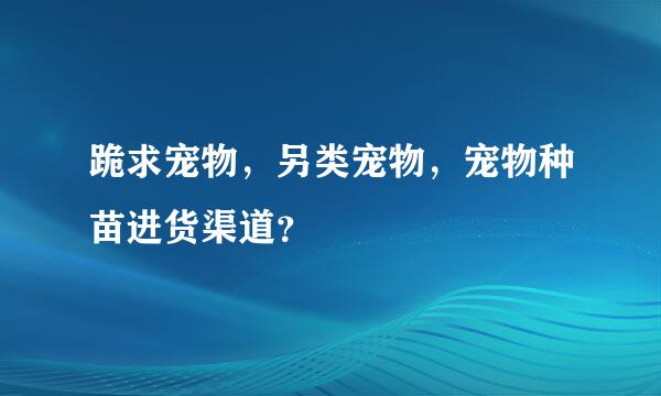 跪求宠物，另类宠物，宠物种苗进货渠道？