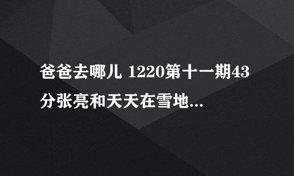 爸爸去哪儿 1220第十一期43分张亮和天天在雪地一起走去拿食材的背景音乐是什么？