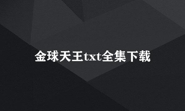 金球天王txt全集下载