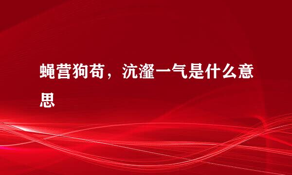 蝇营狗苟，沆瀣一气是什么意思