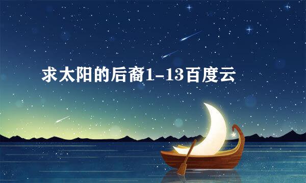 求太阳的后裔1-13百度云