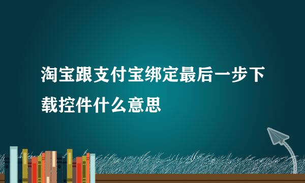 淘宝跟支付宝绑定最后一步下载控件什么意思