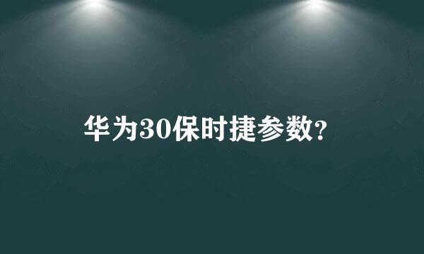 华为30保时捷参数？