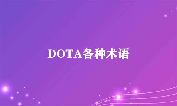 DOTA各种术语