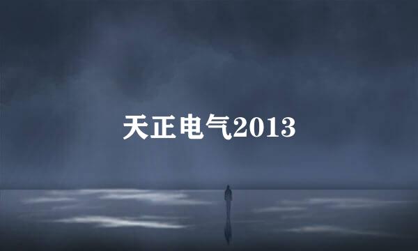 天正电气2013