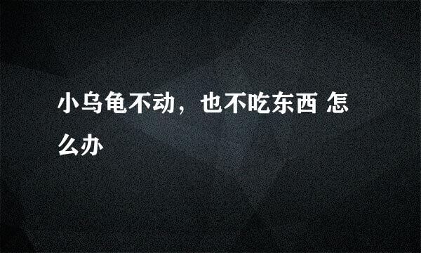 小乌龟不动，也不吃东西 怎么办