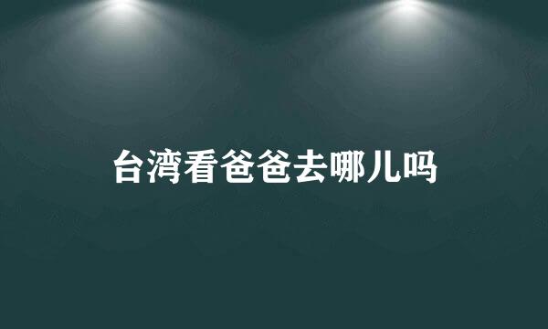 台湾看爸爸去哪儿吗