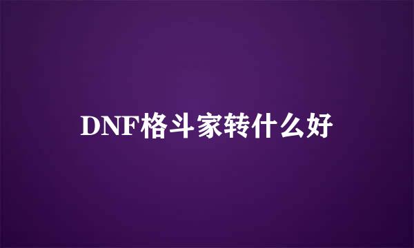 DNF格斗家转什么好